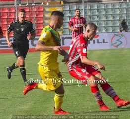 Il podcast su Cremo-Ternana: «Grigiorossi quasi perfetti»