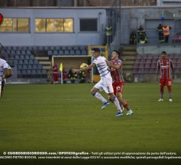 Bari-Cremonese, le probabili formazioni