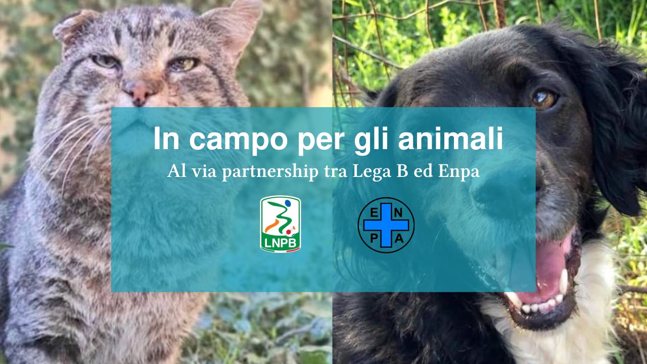 Serie B, al via una partnership con ENPA per la protezione degli animali